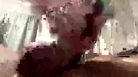 droppingloads82 online show from March 8, 2026, 9:13 am