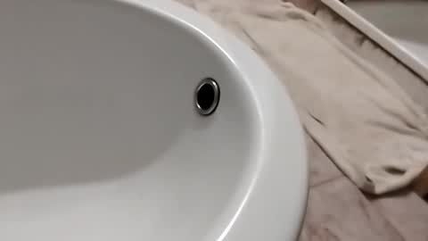 Snapshot of dthedog12 chatting on November 1, 2025, 10:12 pm dthedog12 online show from November 1, 2025, 10:12 pm