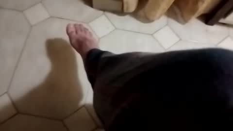 Snapshot of dthedog12 chatting on November 4, 2025, 11:48 pm dthedog12 online show from November 4, 2025, 11:48 pm