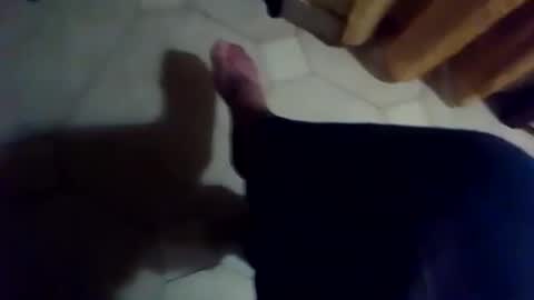 Snapshot of dthedog12 chatting on November 25, 2025, 6:41 pm dthedog12 online show from November 25, 2025, 6:41 pm