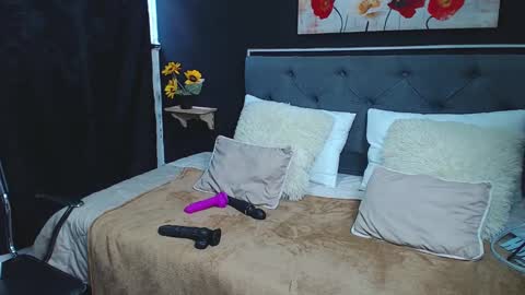 Snapshot of dulce_celeste15 chatting on December 11, 2024, 7:57 pm C E L E S T E online show from December 11, 2024, 7:57 pm