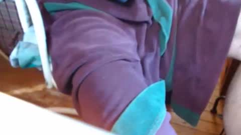 dunany101 online show from March 7, 2025, 2:34 pm