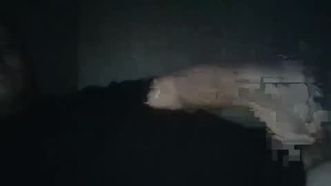 dxjbre online show from January 8, 2026, 9:50 pm