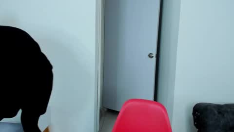 Snapshot of dylantaylor_1 chatting on October 5, 2025, 4:00 am Dylan Taylor online show from October 5, 2025, 4:00 am