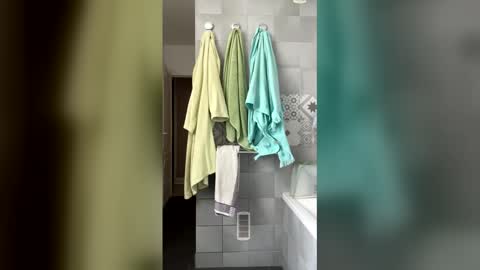 French Guy online show from April 15, 2026, 10:44 am