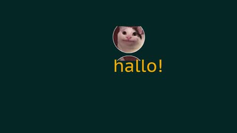 Snapshot of eblidator chatting on December 29, 2024, 8:33 am Vaco Eblidator online show from December 29, 2024, 8:33 am