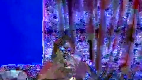 Snapshot of ebonybloom01 chatting on September 20, 2025, 5:03 pm ebonybloom01 online show from September 20, 2025, 5:03 pm