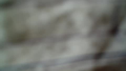 Snapshot of eddfox001 chatting on June 14, 2026, 4:47 am eddfox001 online show from June 14, 2026, 4:47 am