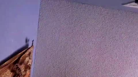 Snapshot of el_santo18 chatting on February 7, 2025, 12:53 am Santos online show from February 7, 2025, 12:53 am