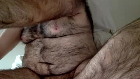 Snapshot of elago chatting on December 23, 2024, 3:33 pm elabear online show from December 23, 2024, 3:33 pm