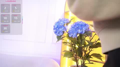 Elasummeer online show from November 19, 2025, 11:43 am