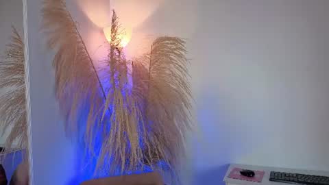 Elecktra online show from June 24, 2026, 7:24 pm