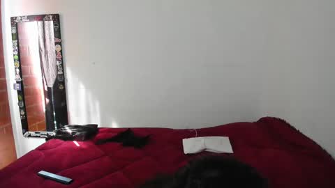 Snapshot of electradevis2 chatting on January 19, 2025, 2:17 pm Electradevis2 online show from January 19, 2025, 2:17 pm