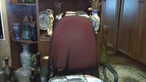Snapshot of elenazed chatting on July 28, 2026, 3:35 am ElenaZed online show from July 28, 2026, 3:35 am