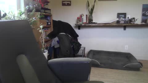 fox online show from February 22, 2026, 7:01 pm