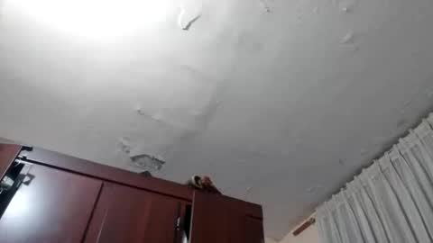 elianis598477 online show from February 10, 2026, 10:08 am