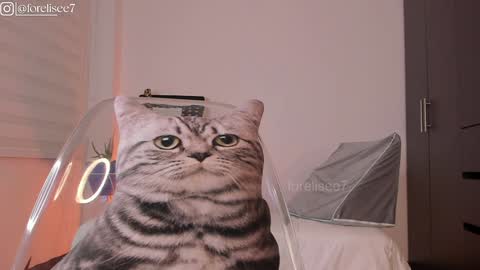 Snapshot of elise_77 chatting on December 7, 2024, 7:16 am Eli online show from December 7, 2024, 7:16 am