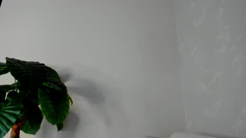 Snapshot of eliza_sanz chatting on February 22, 2025, 11:03 pm My name is ElizaPVT is open online show from February 22, 2025, 11:03 pm