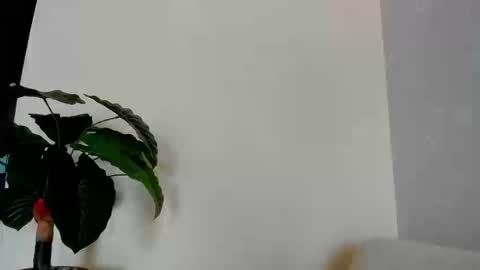 Snapshot of eliza_sanz chatting on September 8, 2025, 9:25 pm My name is ElizaPVT is open online show from September 8, 2025, 9:25 pm