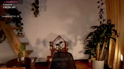 Tuli online show from June 22, 2026, 1:07 am
