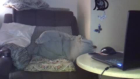 ellajohnsonx online show from March 15, 2026, 9:32 pm