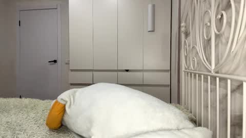 Rosa online show from January 6, 2026, 1:04 pm