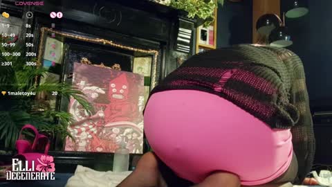 Snapshot of elli_degenerate chatting on January 24, 2025, 12:52 am Elli Degenerate online show from January 24, 2025, 12:52 am