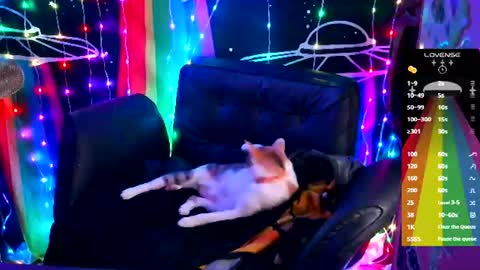 Ellie online show from June 18, 2026, 9:14 am