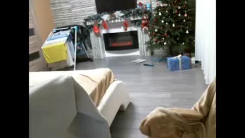 EliMoL online show from February 7, 2025, 6:56 pm