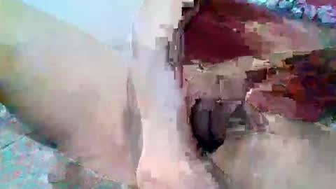 elmario24 online show from December 1, 2025, 6:29 am