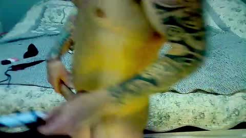 Elpouro online show from March 9, 2026, 5:11 am