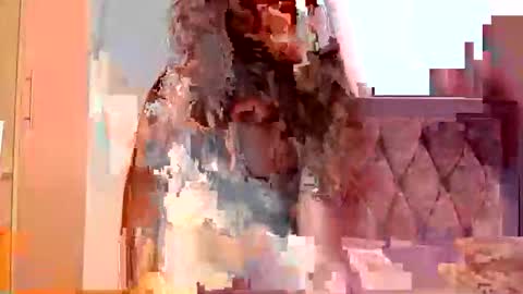 Elysey online show from September 24, 2025, 6:39 am