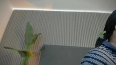 Snapshot of emelie_89 chatting on May 13, 2026, 9:17 am emelie_89 online show from May 13, 2026, 9:17 am