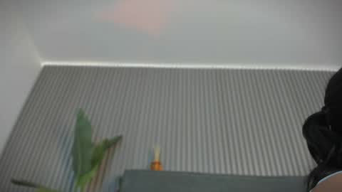 Snapshot of emelie_89 chatting on June 3, 2026, 11:35 am emelie_89 online show from June 3, 2026, 11:35 am