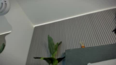 Snapshot of emelie_89 chatting on June 6, 2026, 11:48 am emelie_89 online show from June 6, 2026, 11:48 am