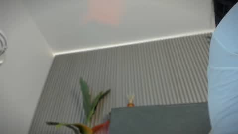 Snapshot of emelie_89 chatting on July 15, 2026, 11:48 am emelie_89 online show from July 15, 2026, 11:48 am