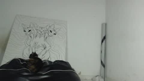 Snapshot of emiantonella_ chatting on May 21, 2026, 12:17 am Antonella online show from May 21, 2026, 12:17 am