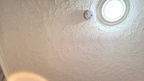 Snapshot of emiily_carter chatting on September 29, 2025, 8:24 pm Emiily Carter online show from September 29, 2025, 8:24 pm