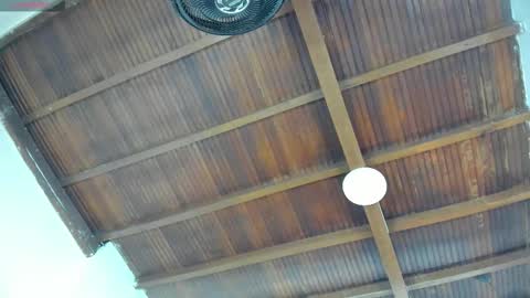 Emily  online show from September 26, 2025, 11:03 am