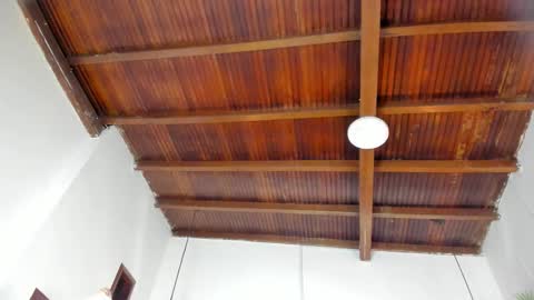 Emily  online show from February 21, 2026, 11:00 am