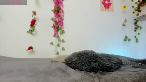 Snapshot of emily_coraline chatting on February 6, 2025, 6:35 pm Emily online show from February 6, 2025, 6:35 pm