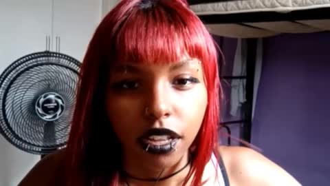 Emily Livos online show from February 24, 2026, 2:37 pm