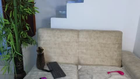 Emma Blue  modelo independiente online show from October 20, 2025, 3:29 am