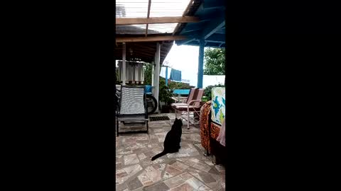 Snapshot of emmahenderson chatting on May 3, 2026, 4:35 pm Andrea online show from May 3, 2026, 4:35 pm
