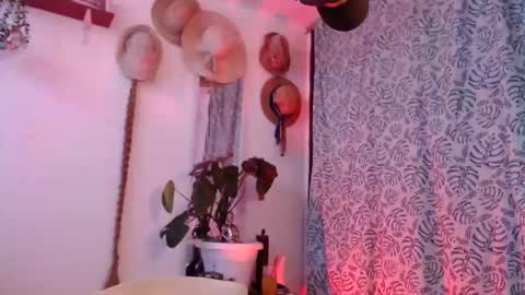 estelamaris online show from April 21, 2026, 2:12 pm