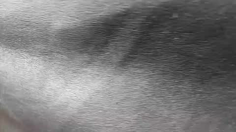 Snapshot of ethan_anavrin chatting on November 30, 2025, 6:56 pm greetings sergi online show from November 30, 2025, 6:56 pm