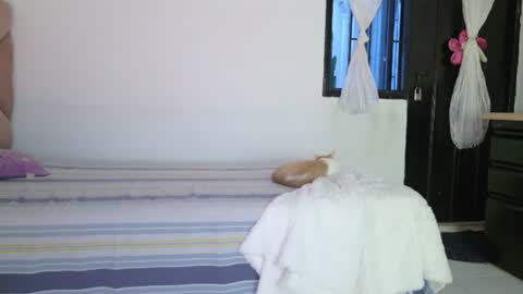 Snapshot of eva_sin18 chatting on June 12, 2026, 11:25 pm Eva Sin online show from June 12, 2026, 11:25 pm