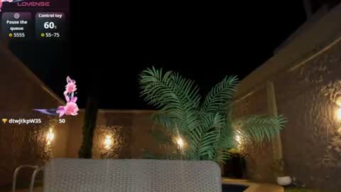 EVA online show from June 25, 2026, 5:12 am
