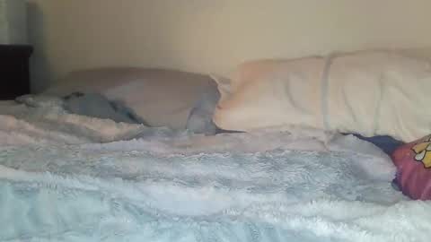 evangeline69xxx online show from February 20, 2026, 6:26 am