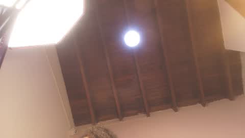 DAYANITA online show from June 10, 2026, 7:02 pm